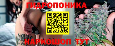 мдпв Малгобек