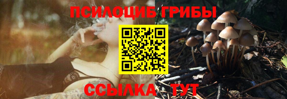 Сергиев Посад  Галлюциногенные грибы Psilocybe  наркошоп  Вход с VPN 